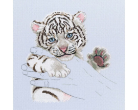 Little Tiger Warmth in Palms  | Aida Telpakket | RTO