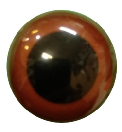 18mm/0.7" Dark Brown Safety Eyes, 1 Pair