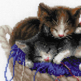Kittens In A Basket | Aida Borduurpakket | Riolis