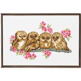 Owls Aida Permin Telpakket