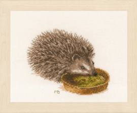 Hedgehog Marjolein Bastin Lanarte