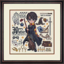 Magical design | Harry Potter | aida telpakket | Dimensions