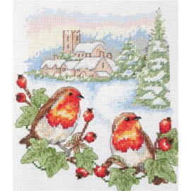 Winter Robin | Aida telpakket | Anchor