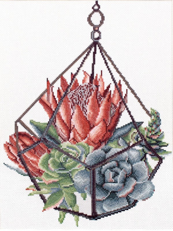 Succulent garden 1 - aida voordedrukt borduurpakket - Ladybird