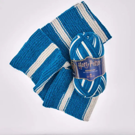 302 Ravenclaw Harry Potter - DMC
