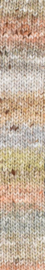 39 Akari - Noro