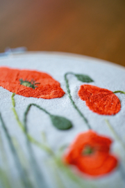 Poppy field | modern embroidery kit | Daffy's DIY