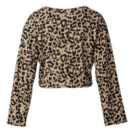5788 Burda Naaipatroon | Sweater in variatie