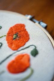 Poppy field | modern embroidery kit | Daffy's DIY