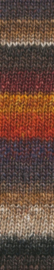 S349 Awara Silk Garden Sock - Noro