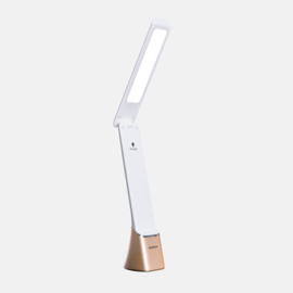 Daylight Smart Go lamp met LED | daylight