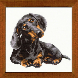 906 Dachshund (Teckel) | Aida Borduurpakket | Riolis