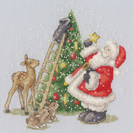 North pole star - aida Bothy Threads telpakket