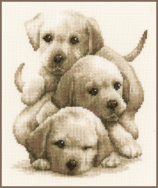 Labrador Puppies Aida telpakket - Vervaco