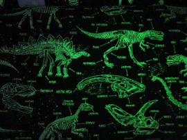 Black Dino (Glow in the dark)- Timeless Treasures