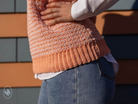 Oranje Pied De Pastel Spencer Durable Garenpakket