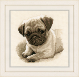 Pug Dog Aida Vervaco