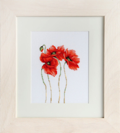 Poppies | Aida telpakket | Luca-S B2224