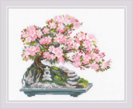 Flowering Bonsai | Aida telpakket | Riolis