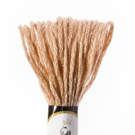 427 Very Light Beige Brown | Borduurgaren | XX Threads