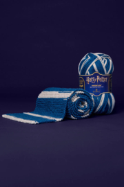 302 Ravenclaw Harry Potter - DMC