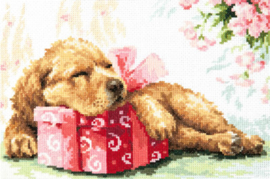 Guarding Your Gift Aida Magic Needle Embroidery Kit