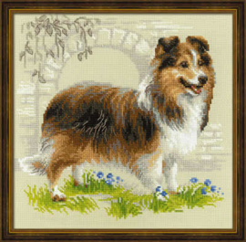 Sheltie | Aida Telpakket | Riolis