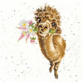 Hand-Picked For You Aida Wrendale Designs by Hannah Dale Bothy Threads Cross Stitch Kit