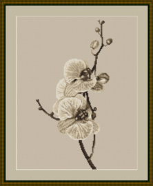 Orchid Aida Borduurpakket Luca-S