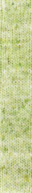01 Akari Solo - Noro