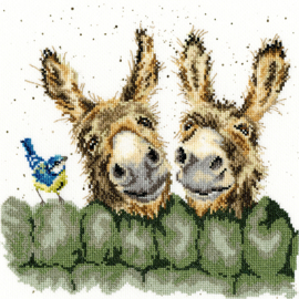 Hee Haw Aida Wrendale Designs by Hannah Dale Bothy Threads Embroidery Kit
