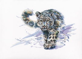 Snow Leopard | Aida telpakket | RTO