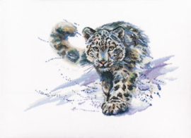 Snow Leopard Aida telpakket - RTO