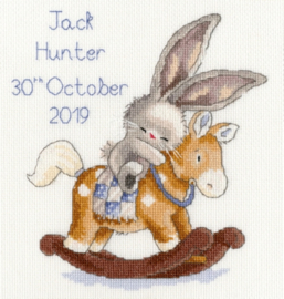 Rock A Bye Bunny Bebunni Aida Bothy Threads Embroidery Kit