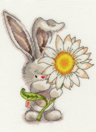 Daisy Aida Bebunni Bothy Threads Embroidery Kit