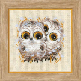 Little Owls | Aida Borduurpakket | Riolis