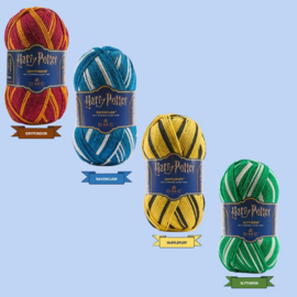 302 Ravenclaw Harry Potter - DMC