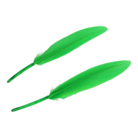 Groene Veren 11- 15cm