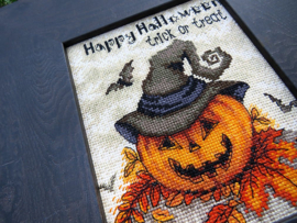 Trick or Treat Aida Leti Stitch Telpakket