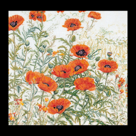 Orange Poppies Aida Telpakket Thea Gouverneur