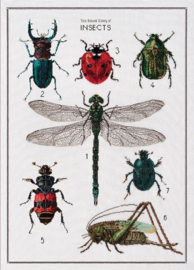 History of Insects Aida Thea Gouverneur