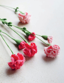 Bloemen haken á la Sascha - Sascha Blase-Van Wagtendonk