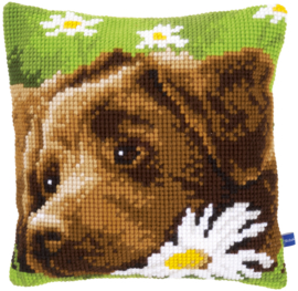 Chocolate Labrador Canvas Cushion Vervaco