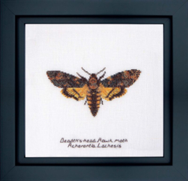 Death's head Hawk Moth Borduurpakket Aida Thea Gouverneur