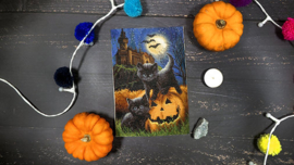 Did We Scare You? Aida  Leti Stitch Embroidery Kit