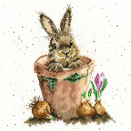 The Flower Pot Aida Wrendale Designs by Hannah Dale Bothy Threads Embroidery Kit