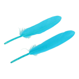 Turquoise Feathers 11-15cm / 4.3"-5.9"