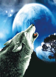 Howling Wolf | Voorbedrukt Aida | Needleart World