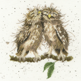 Birds Of A Feather Wrendale Designs by Hannah Dale Bothy Threads Embroidery Kit