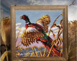 Pheasant | Voorbedrukt Kruissteekkussen | Collection D'Art